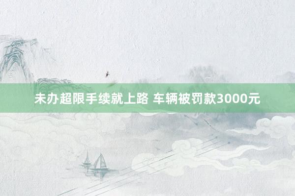 未办超限手续就上路 车辆被罚款3000元