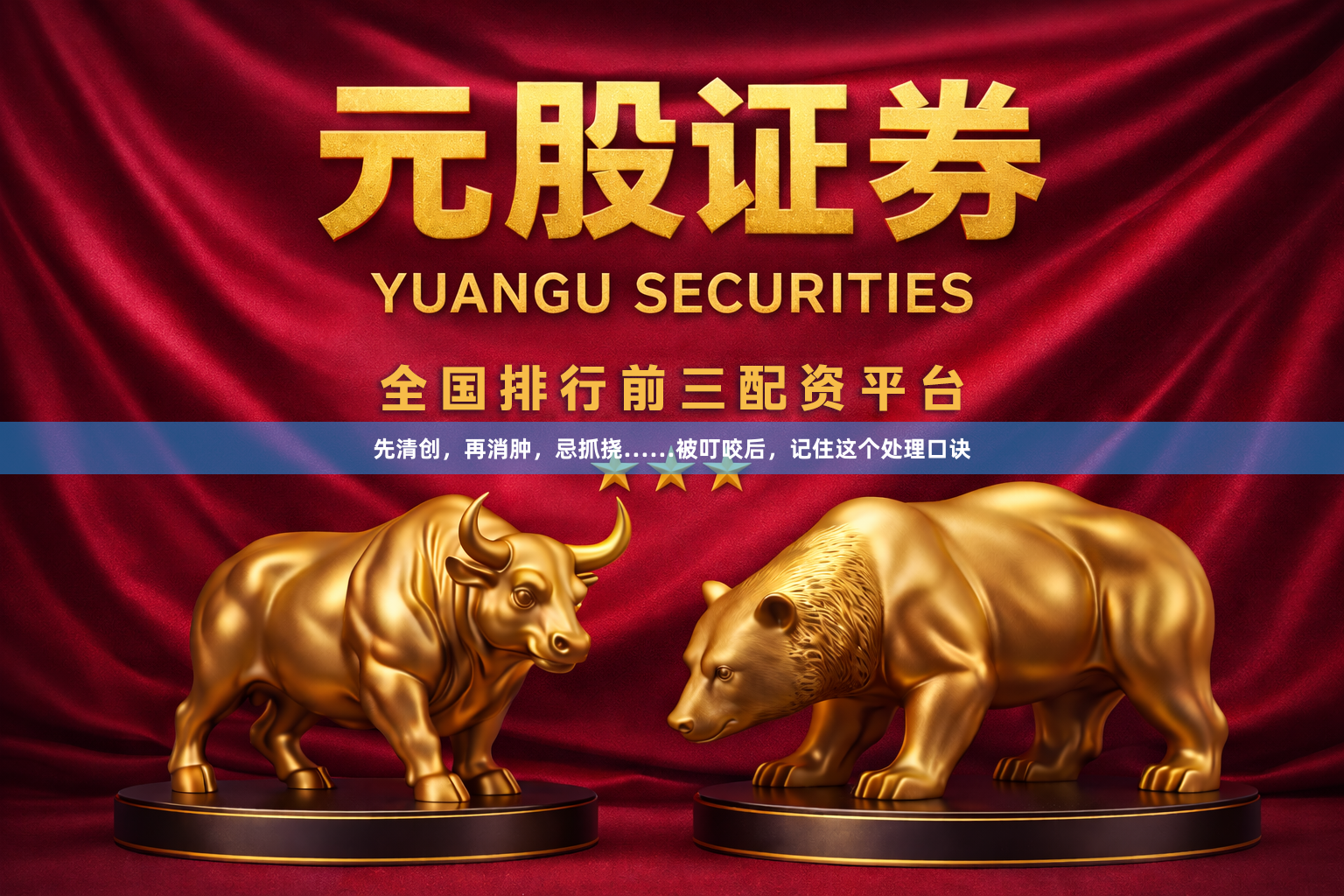 先清创，再消肿，忌抓挠……被叮咬后，记住这个处理口诀