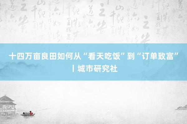 十四万亩良田如何从“看天吃饭”到“订单致富”丨城市研究社