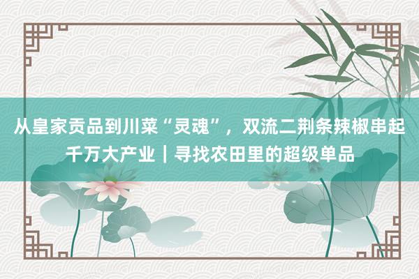 从皇家贡品到川菜“灵魂”，双流二荆条辣椒串起千万大产业｜寻找农田里的超级单品