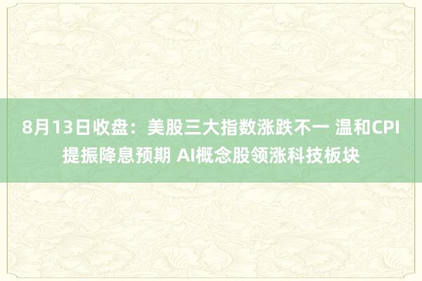 8月13日收盘：美股三大指数涨跌不一 温和CPI提振降息预期 AI概念股领涨科技板块