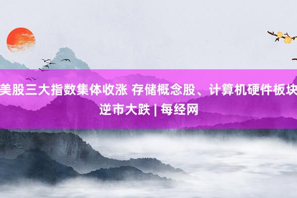 美股三大指数集体收涨 存储概念股、计算机硬件板块逆市大跌 | 每经网