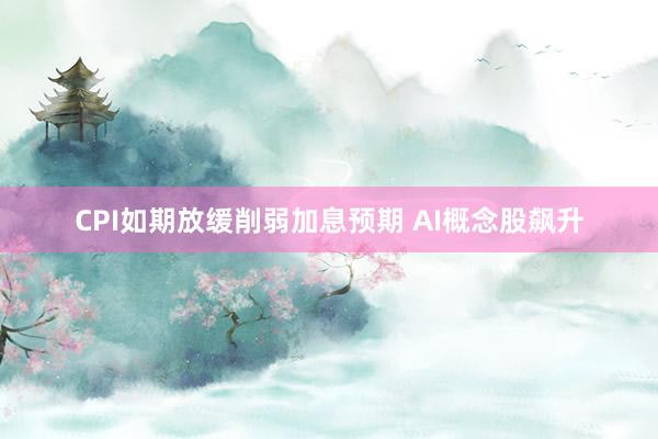 CPI如期放缓削弱加息预期 AI概念股飙升