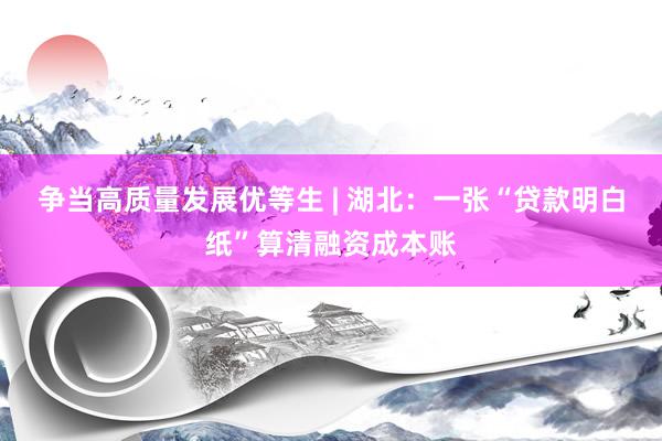 争当高质量发展优等生 | 湖北:一张“贷款明白纸”算清融资成本账