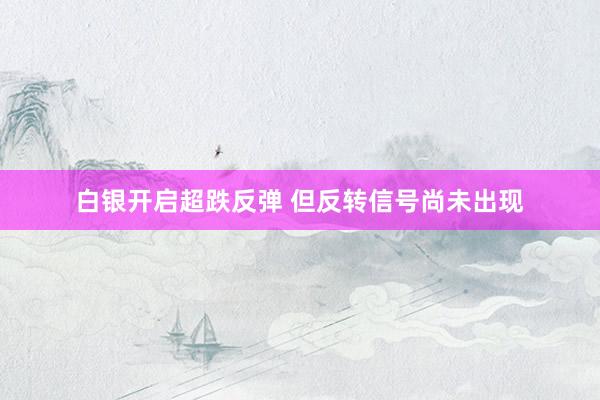 白银开启超跌反弹 但反转信号尚未出现