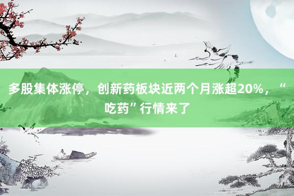 多股集体涨停，创新药板块近两个月涨超20%，“吃药”行情来了