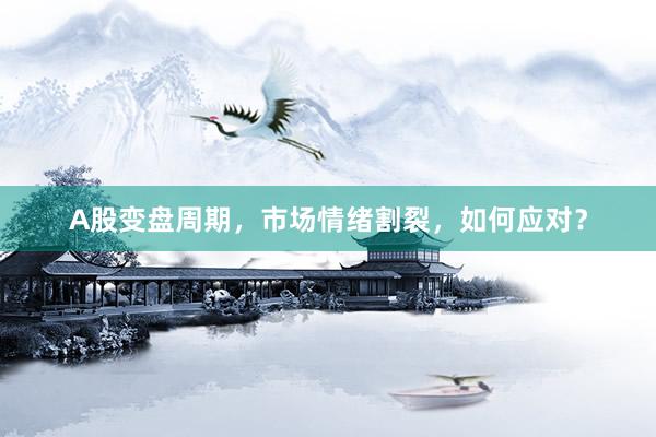 A股变盘周期，市场情绪割裂，如何应对？