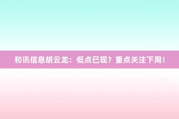 和讯信息胡云龙：低点已现？重点关注下周！