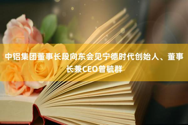 中铝集团董事长段向东会见宁德时代创始人、董事长兼CEO曾毓群