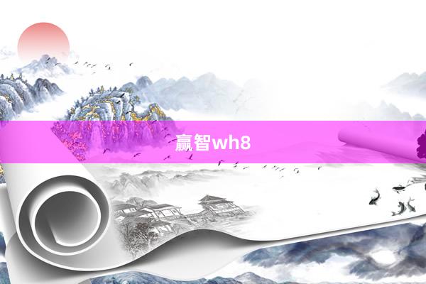 赢智wh8
