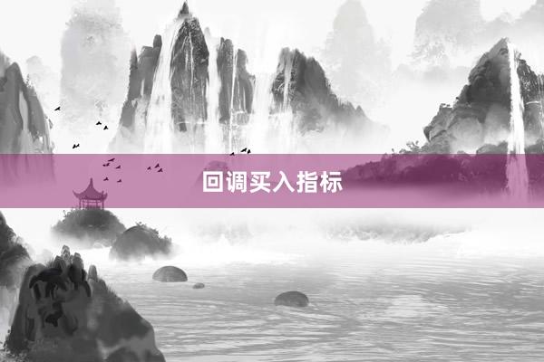 回调买入指标
