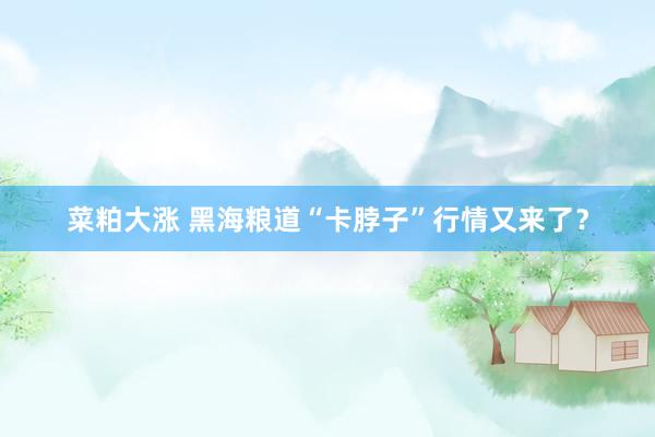 菜粕大涨 黑海粮道“卡脖子”行情又来了？