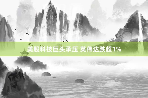 美股科技巨头承压 英伟达跌超1%