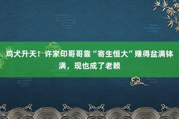 鸡犬升天！许家印哥哥靠“寄生恒大”赚得盆满钵满，现也成了老赖