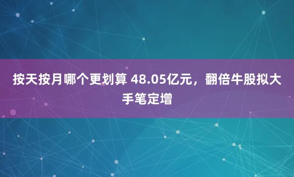 按天按月哪个更划算 48.05亿元，翻倍牛股拟大手笔定增