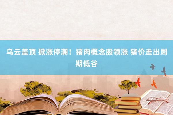 乌云盖顶 掀涨停潮！猪肉概念股领涨 猪价走出周期低谷