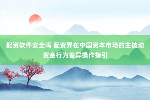 配资软件安全吗 配资界在中国资本市场的主被动资金行为差异操作指引