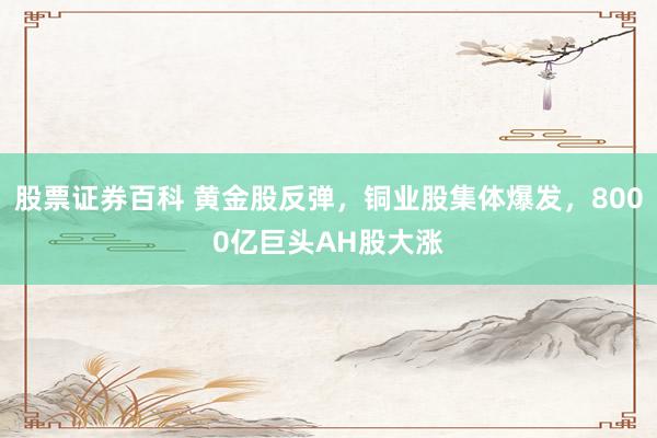 股票证券百科 黄金股反弹，铜业股集体爆发，8000亿巨头AH股大涨