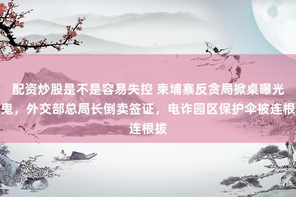 配资炒股是不是容易失控 柬埔寨反贪局掀桌曝光内鬼，外交部总局长倒卖签证，电诈园区保护伞被连根拔
