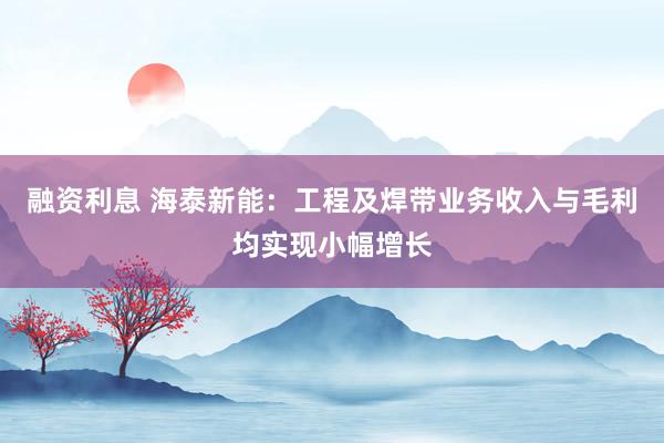 融资利息 海泰新能：工程及焊带业务收入与毛利均实现小幅增长