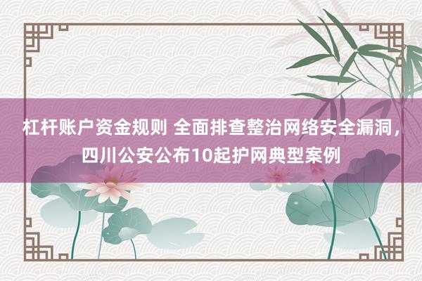杠杆账户资金规则 全面排查整治网络安全漏洞，四川公安公布10起护网典型案例