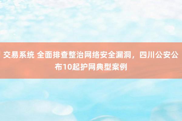 交易系统 全面排查整治网络安全漏洞，四川公安公布10起护网典型案例