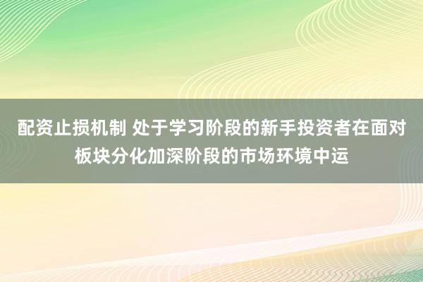 配资止损机制 处于学习阶段的新手投资者在面对板块分化加深阶段的市场环境中运