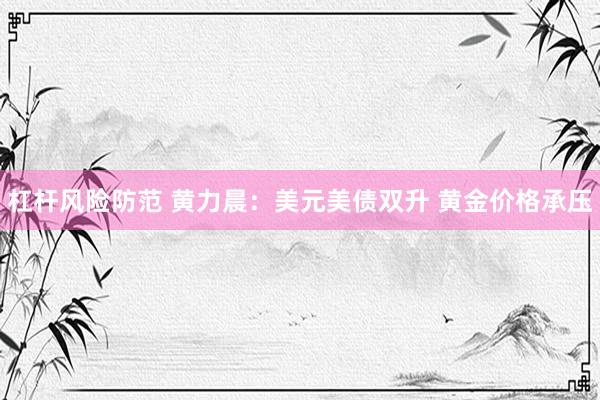 杠杆风险防范 黄力晨:美元美债双升 黄金价格承压