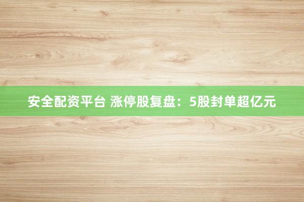 安全配资平台 涨停股复盘：5股封单超亿元