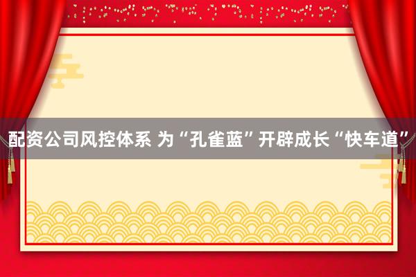 配资公司风控体系 为“孔雀蓝”开辟成长“快车道”