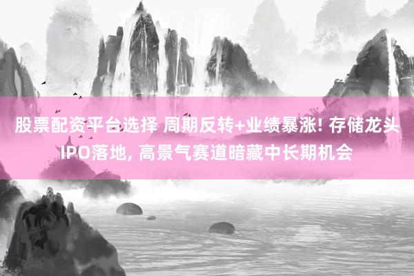 股票配资平台选择 周期反转+业绩暴涨! 存储龙头IPO落地, 高景气赛道暗藏中长期机会