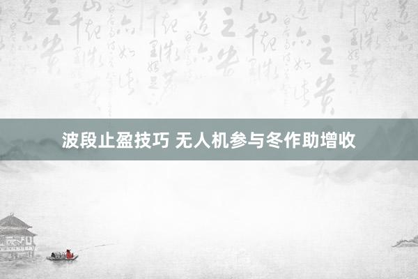 波段止盈技巧 无人机参与冬作助增收