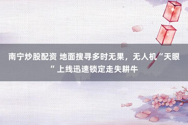 南宁炒股配资 地面搜寻多时无果，无人机“天眼”上线迅速锁定走失耕牛