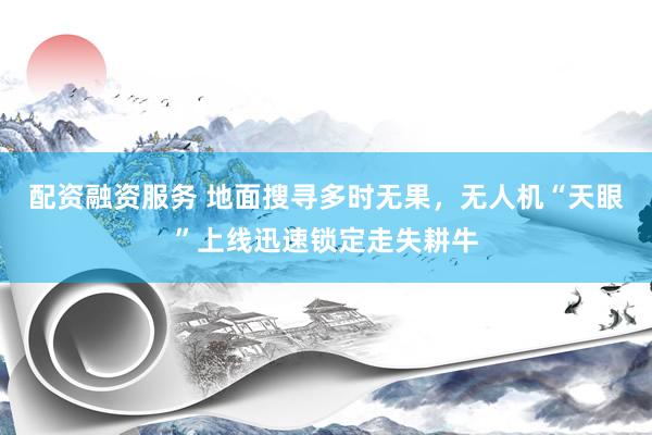 配资融资服务 地面搜寻多时无果，无人机“天眼”上线迅速锁定走失耕牛